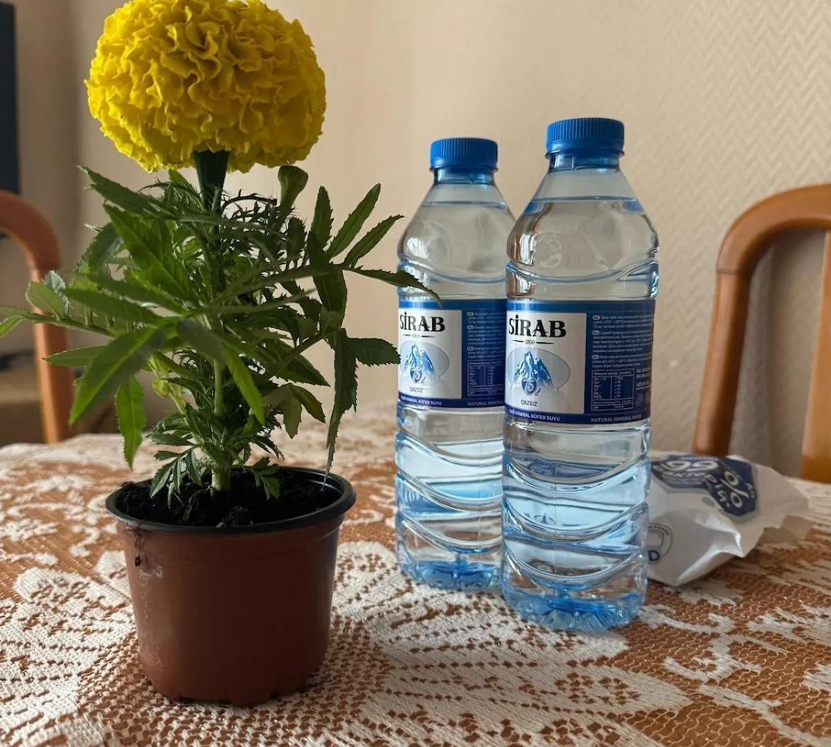 Central Apartment Near Everything Baku